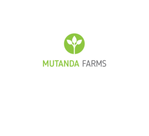Logo Design by NeroArt