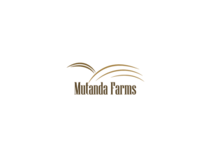 Logo Design by BED for this project | Design #18838041