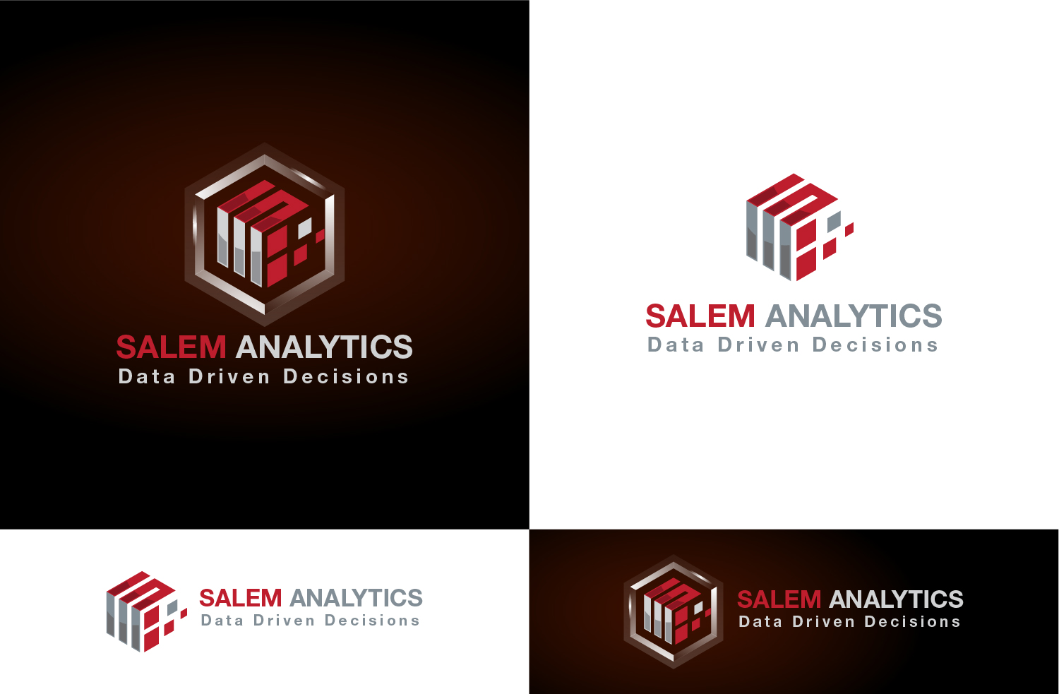 Logo Design by Muhammad Imran 3 for Salem Analytics | Design #18781814