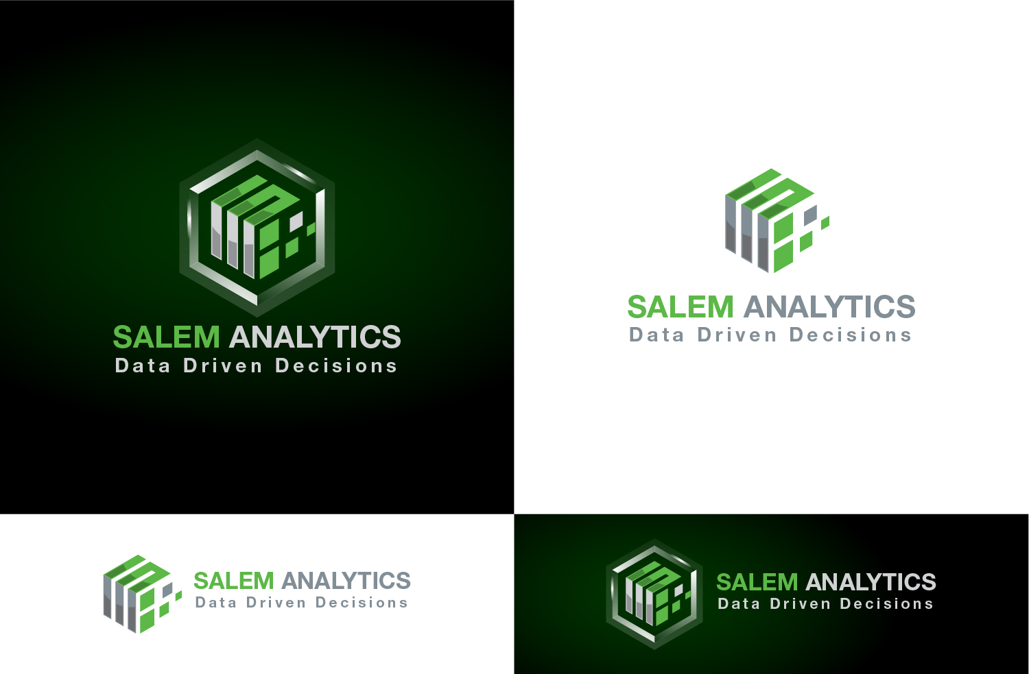 Logo Design by Muhammad Imran 3 for Salem Analytics | Design #18781817