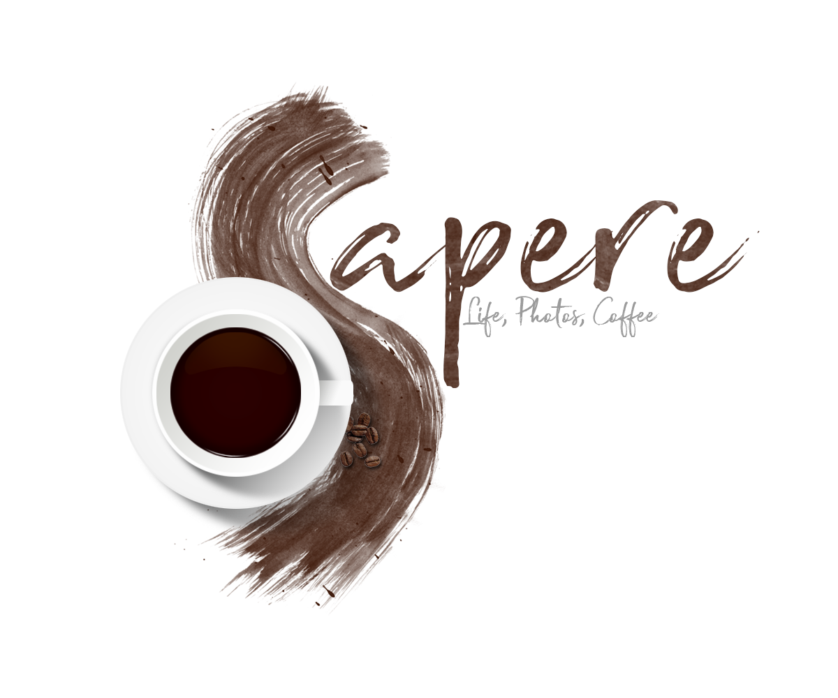 Logo Design by Nordic Designer for Aude Sapere | Design #18844972