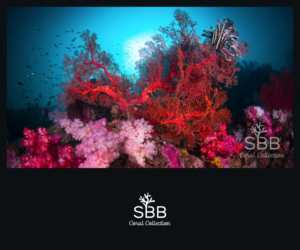 Logo Design by Roy for this project | Design: #18768107