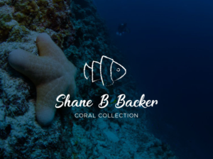 Logo Design by T-BoB for this project | Design: #18767689