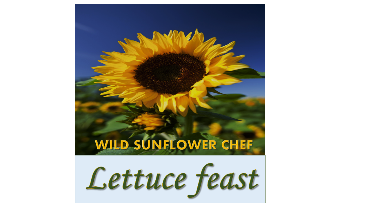 Logo Design by suhasini 3 for Wild Sunflower Chef | Design #18943036