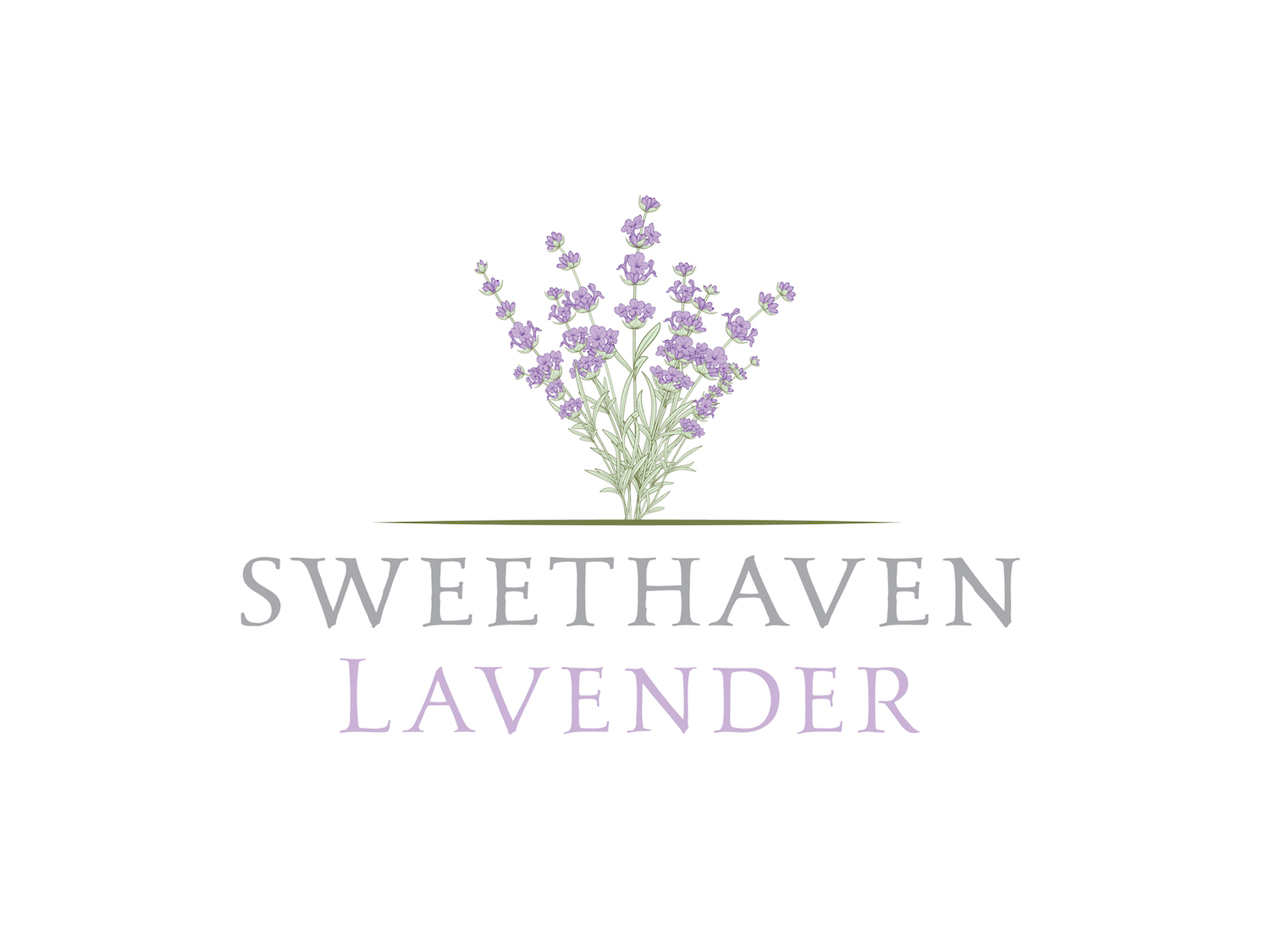 Logo Design by brianritterdesign for Sweethaven Lavender | Design #18838468