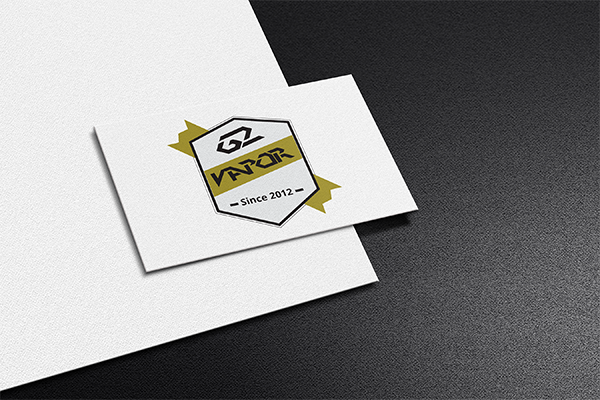 Logo Design by mjsteadfast for this project | Design #18801208