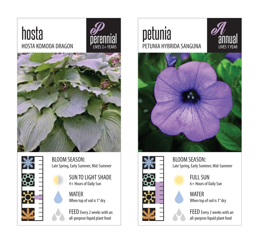 Vector Design by Lori Pack for this project | Design #2884913