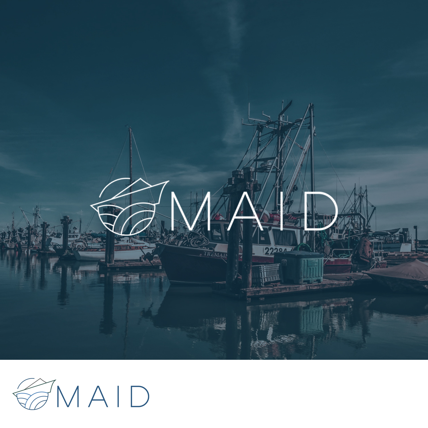 Design de Logo par Andrei Negru pour MAID Systems | Design #18799324