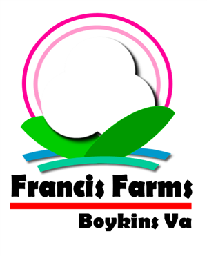 Logo Design by golden design star for this project | Design #2835734