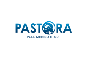 Logo Design by jose_luiz for Pastora Poll Merinos | Design #18909727