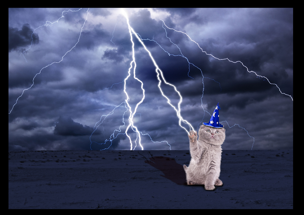 T-Shirt-Design von Ross Creations für dieses Projekt | Design #18907146