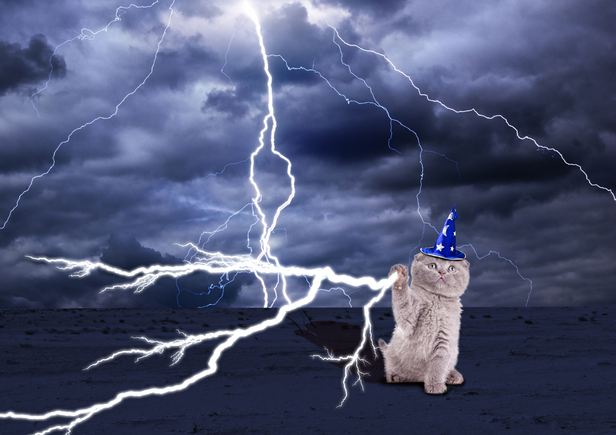 T-shirt Design by Ross Creations for this project | Design #18915549