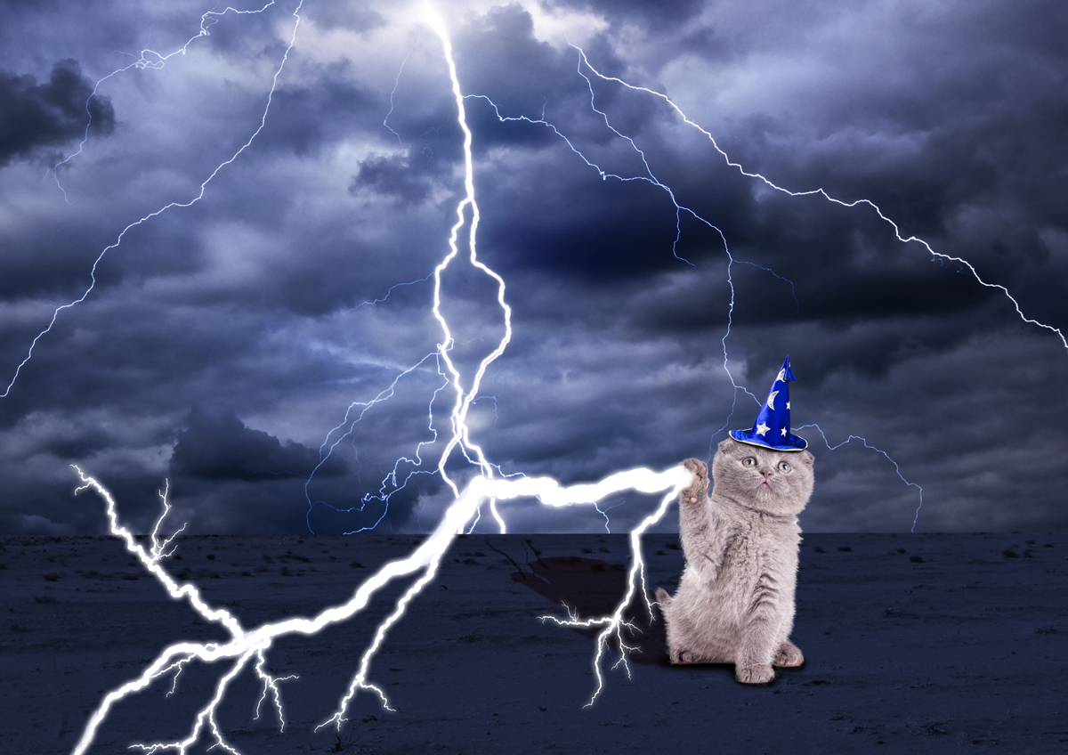 Diseño de Camiseta por Ross Creations para este proyecto | Diseño #18915550