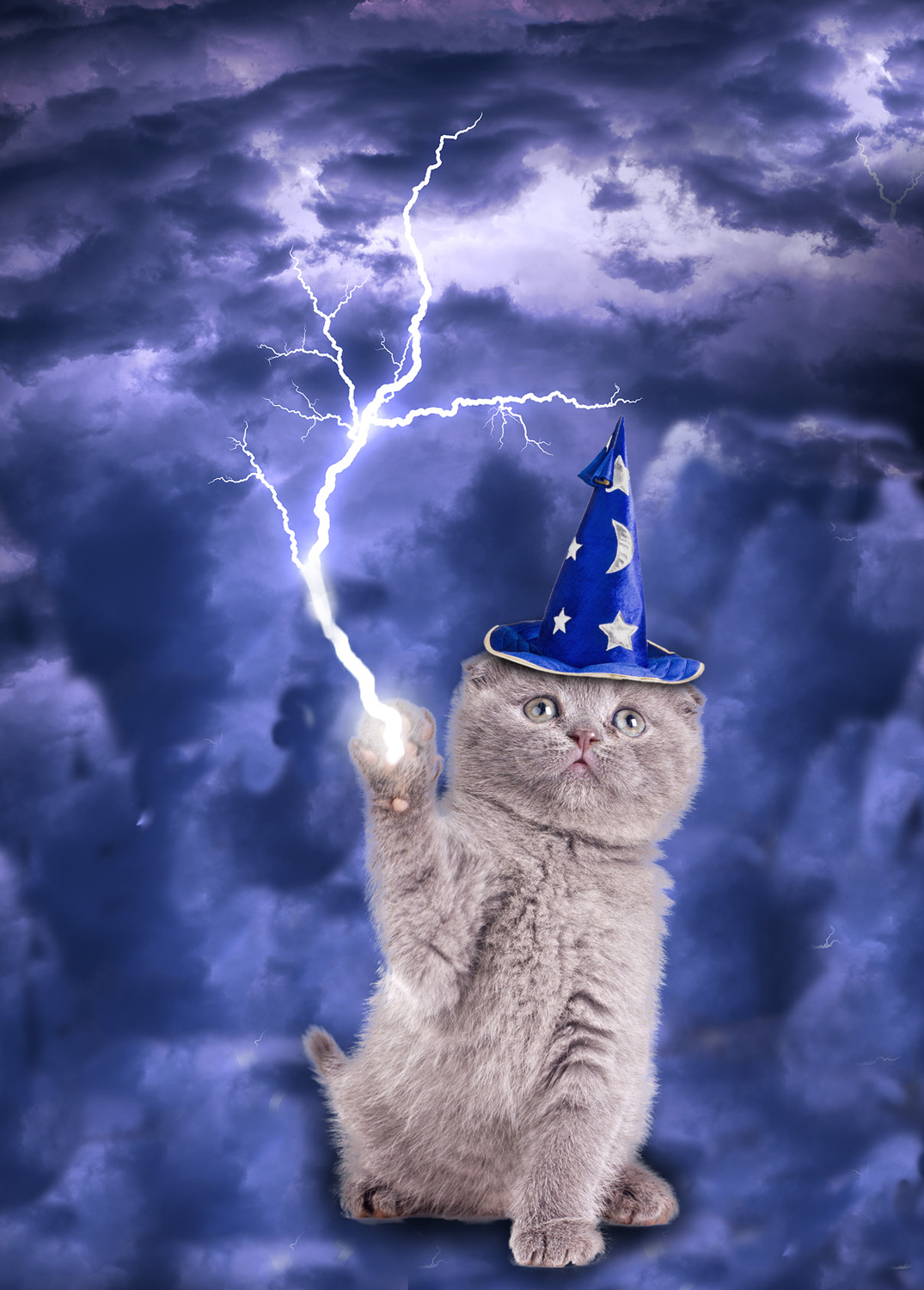 T-shirt Design by MustafaAksit for this project | Design #18917315