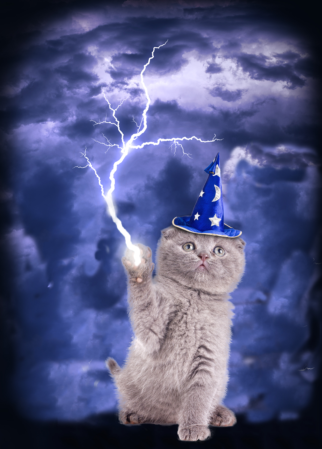 T-Shirt-Design von MustafaAksit für dieses Projekt | Design #18920502