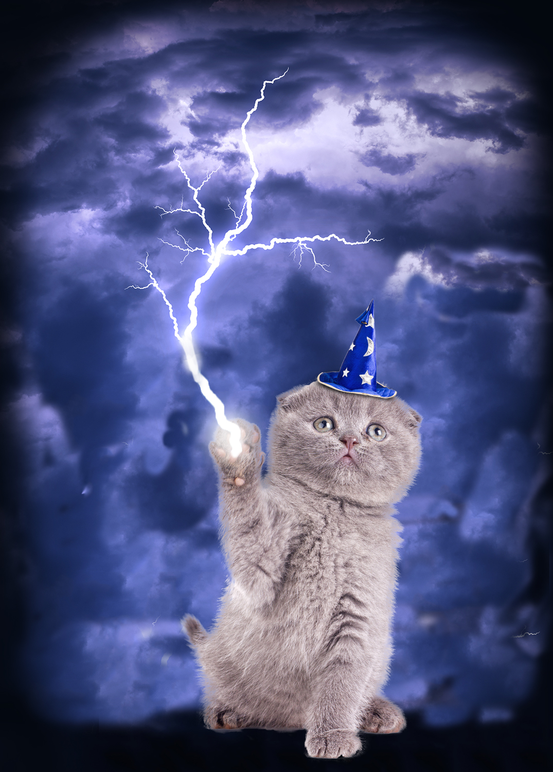 T-shirt Design by MustafaAksit for this project | Design #18920558