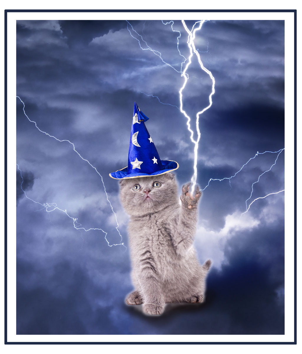 T-shirt Design by Melissa 11 for this project | Design #18912317