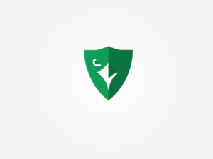 Raven | Logo Design by ArtCreative