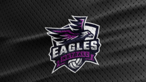 Eagles Netball | Logo Design by Ena
