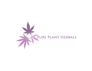Logo Design by BED