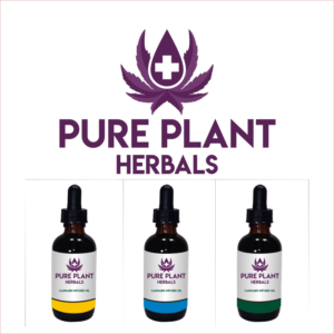Logo Design by Helen Ramadhani