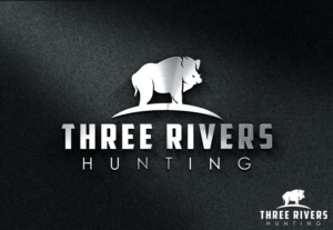 Logo Design by vlad.buzz
