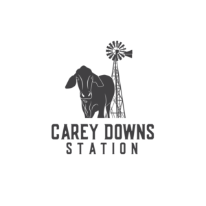Logo Design by Elrich for this project | Design: #19900035
