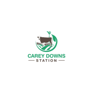 Logo Design by Deziners Zone for this project | Design: #19890545
