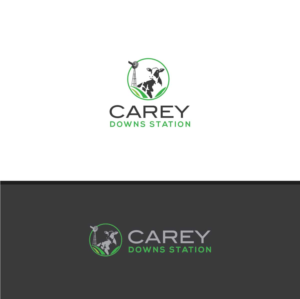 Logo Design by Deziners Zone for this project | Design: #19890550