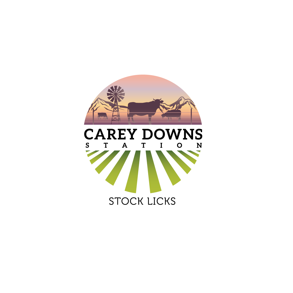 Logo Design by rozT for this project | Design #19950728