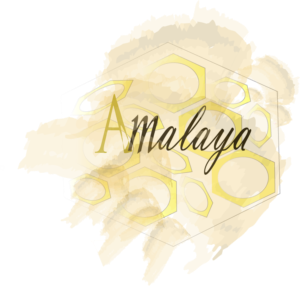 Logo Design by Shameer32