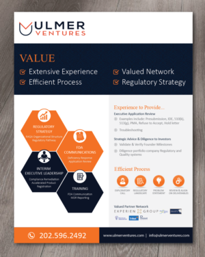 Design de Flyer par alex989 pour Ulmer Ventures LLC | Design : #18919329