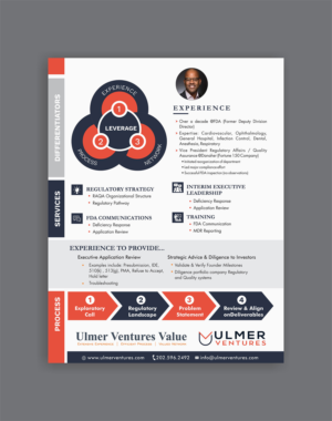 Digital One Pager for Consulting Practice | Flyer Design by DesignMarket