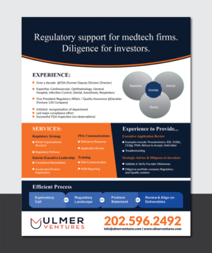 Design de Flyer par Deziners Zone pour Ulmer Ventures LLC | Design : #18840939