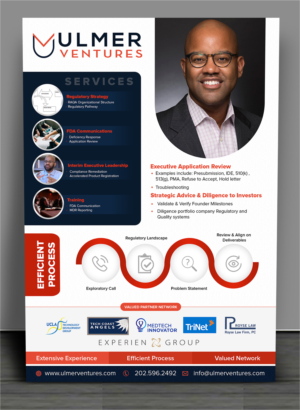 Digital One Pager for Consulting Practice | Diseño de Flyer por SAI DESIGNS