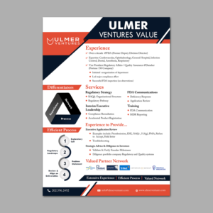 Digital One Pager for Consulting Practice | Flyer Design by Schöpfer