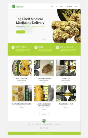 Web-Design von primarydesigner2k9 für dieses Projekt | Design #18847568
