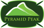 Logo Design by DDG