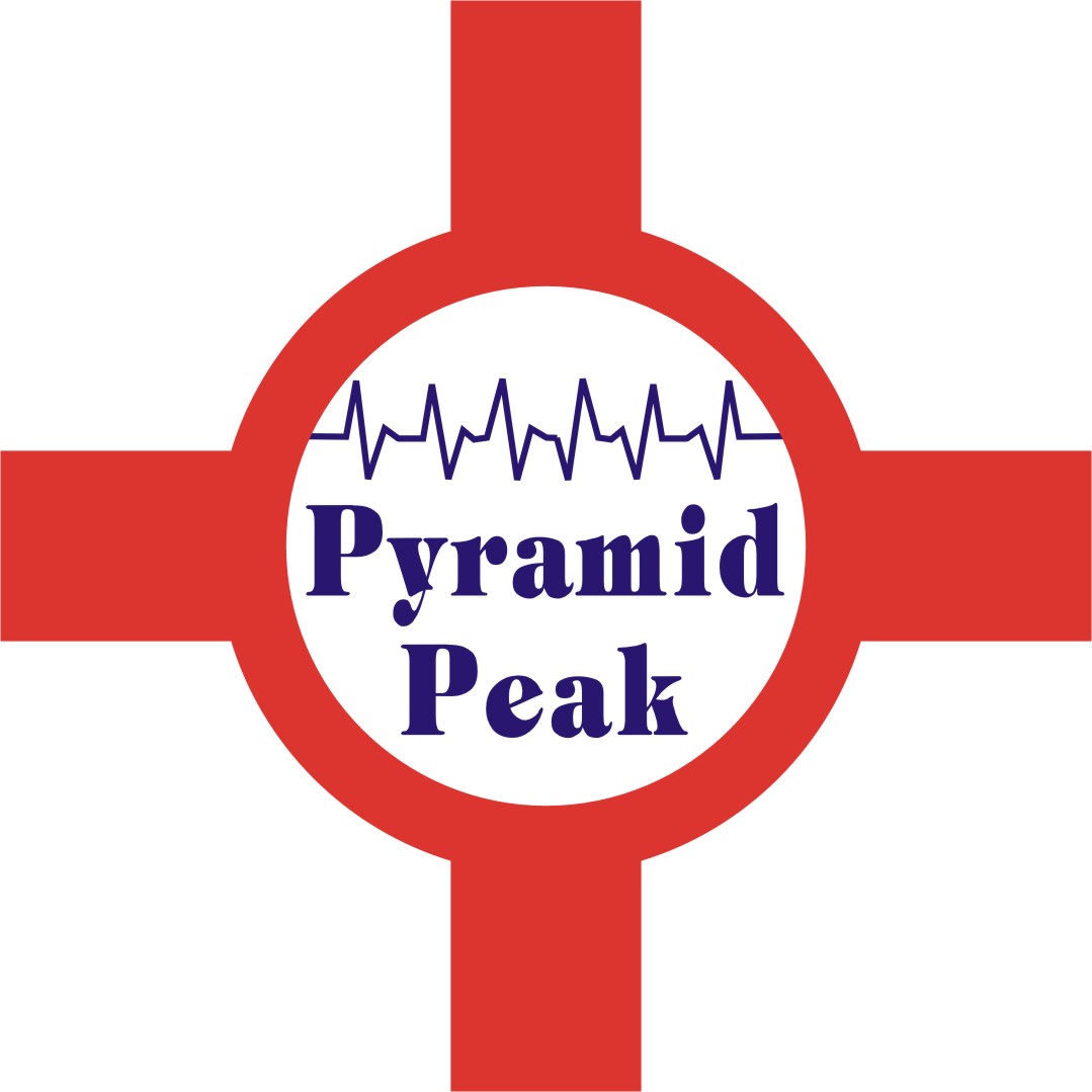 Logo Design by shailesh raut for Pyramid Peak | Design #52540