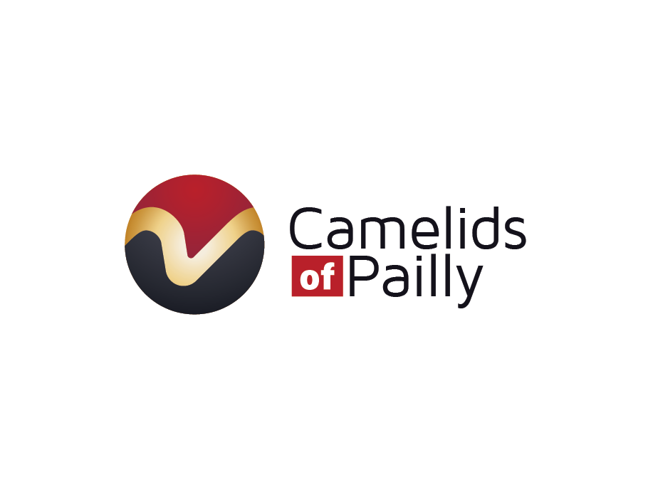 Logo Design by dhamkith for this project | Design #18935075