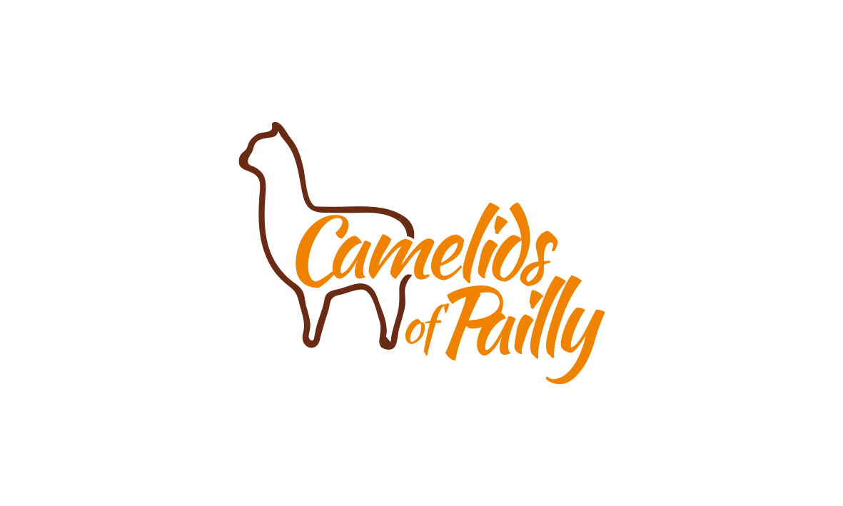 Logo Design by trufya for this project | Design #18936773