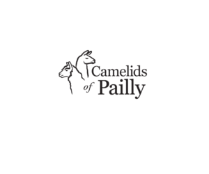 Camelids of Pailly | Logo-Design von Buck Tornado