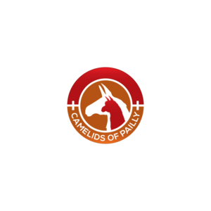 Logo Design by Anoushay for this project | Design #18889721