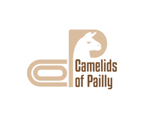 Logo Design by 808Miles for this project | Design: #18869885