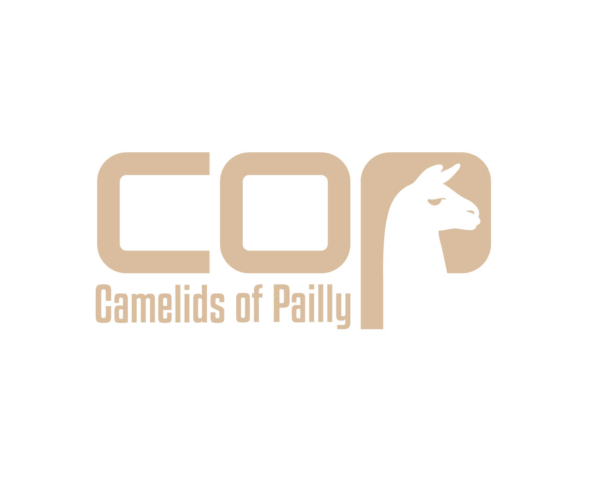 Logo Design by 808Miles for this project | Design #18879717