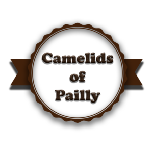 Logo Design by Dannycosma01