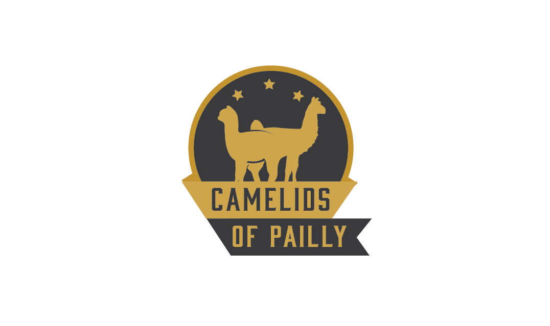 Logo Design by jose_luiz for this project | Design #18929065