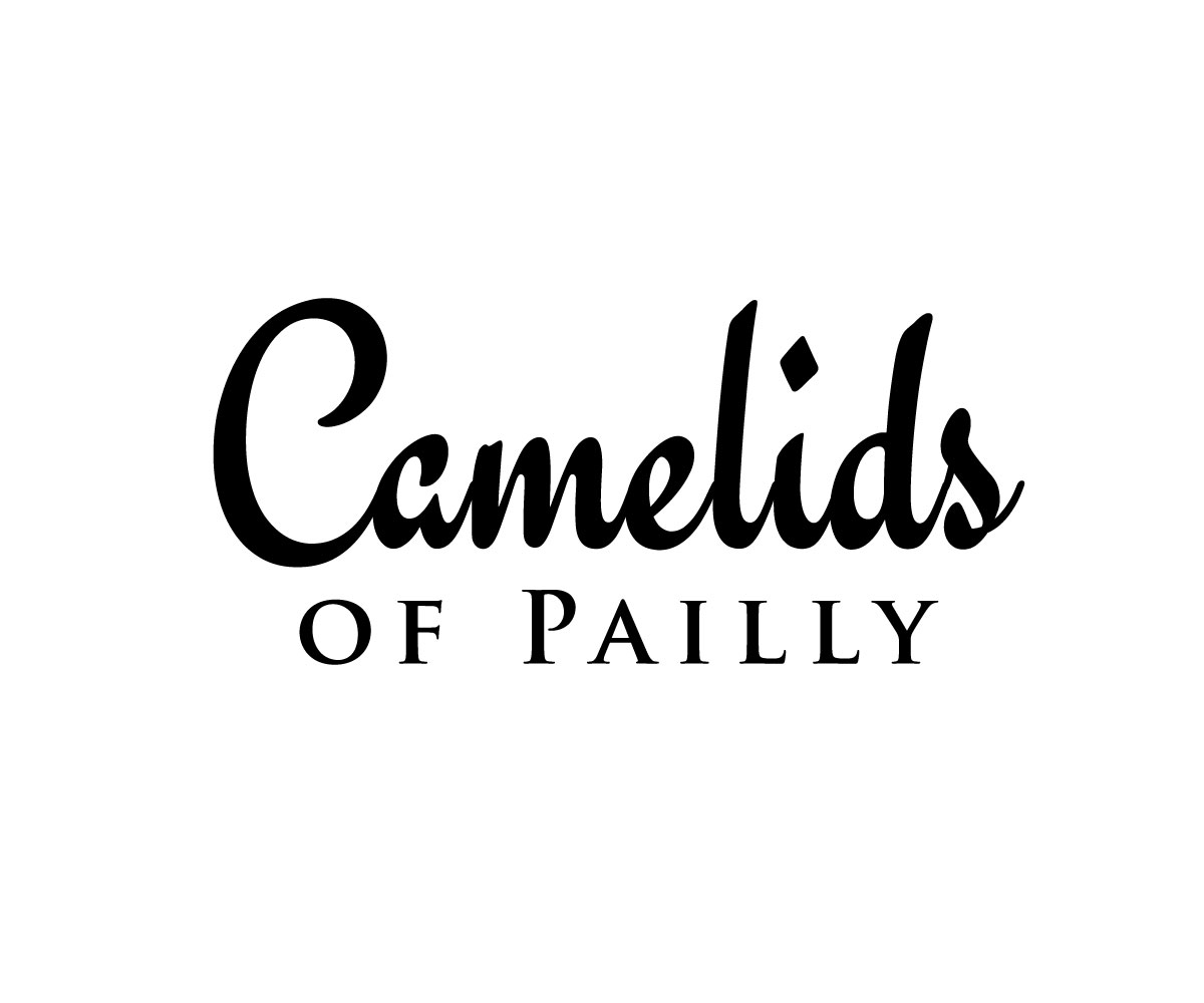 Logo Design by IconicEcho for this project | Design #18850145