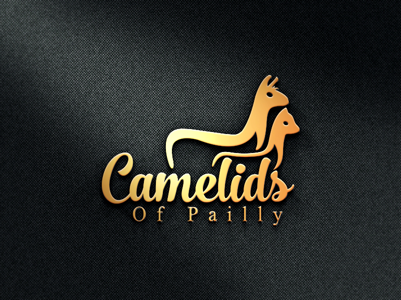 Logo Design by Rashunali22 for this project | Design: #19130445