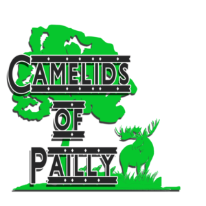 Logo Design by fathul661 for this project | Design: #18859186